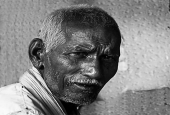 IIP Online Student Photography